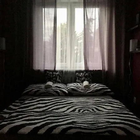 Team Auberge de jeunesse *